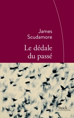 Le dédale du passé (9782234080430-front-cover)