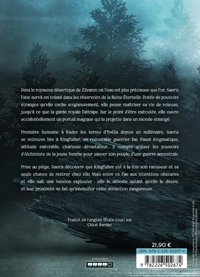 Quicksilver - Fae & Alchimie T1 (édition brochée - version française) (9782226502674-back-cover)