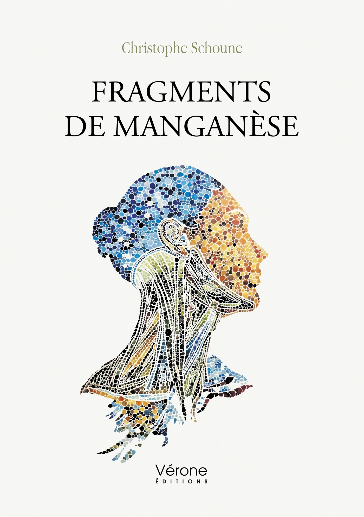 Fragments de manganèse (9791028434885-front-cover)