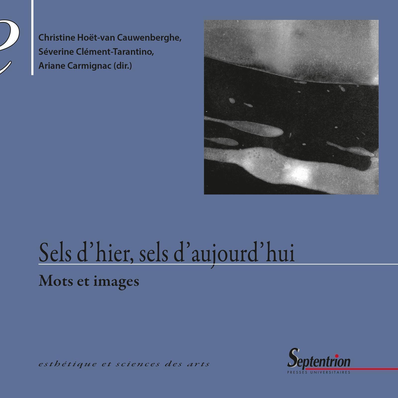 Sels d'hier, sels d'aujourd'hui, Mots et images (9782757439548-front-cover)