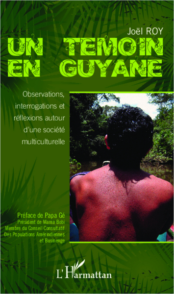 Un témoin en Guyane, Observations, interrogations et réflexions autour d'une société multiculturelle (9782296994881-front-cover)