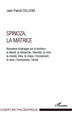 Spinoza, La matrice, Nouveaux éclairages sur le bonheur, la liberté, la hérarchie, l'éternité, la mort, la morale, Dieu, le chao (9782296997936-front-cover)