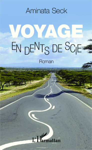 Voyage en dents de scie, Roman (9782296998605-front-cover)