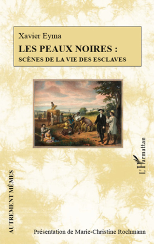 Les peaux noires : scènes de la vie des esclaves (9782296970076-front-cover)