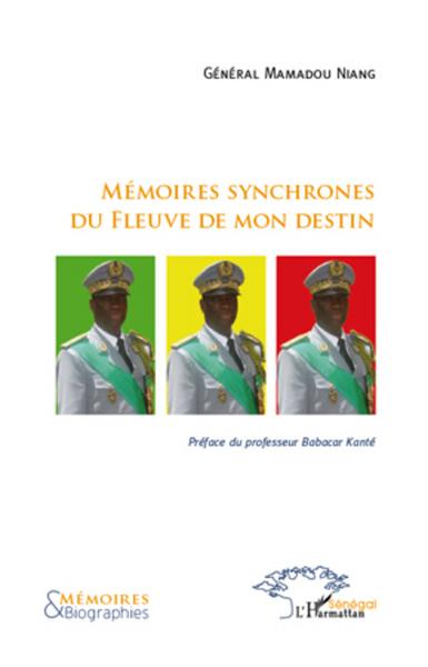 Mémoires synchrones du fleuve de mon destin (9782296993891-front-cover)