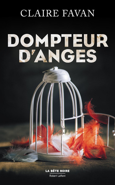 Dompteur d'anges (9782221197349-front-cover)