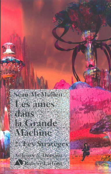 Les âmes dans la grande machine - tome 2 - Les stratèges (9782221101568-front-cover)