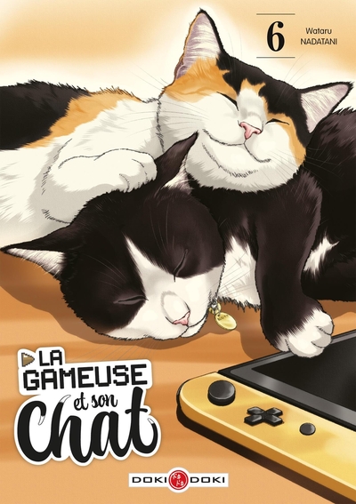 La Gameuse et son chat - vol. 06 (9782818989418-front-cover)