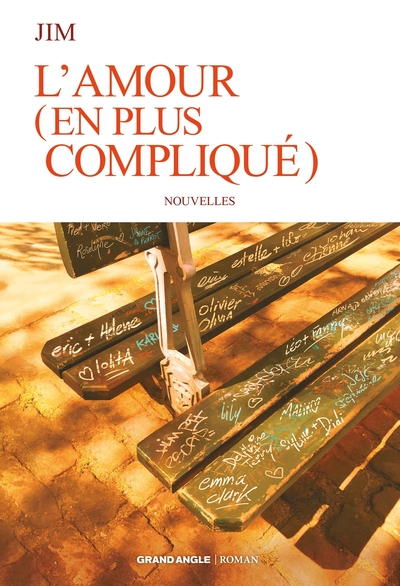 Roman - L'amour (en plus compliqué) (9782818946510-front-cover)
