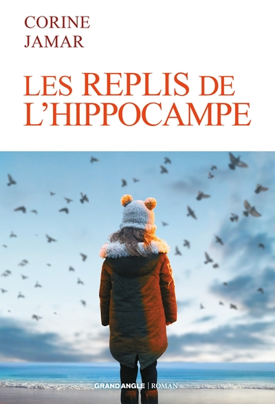 Roman - Les replis de l'hippocampe (9782818968093-front-cover)
