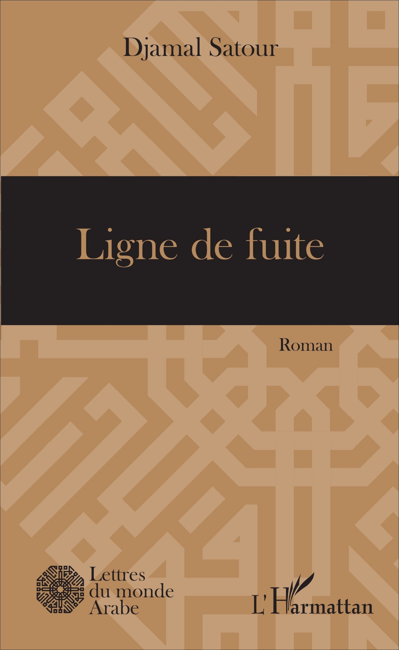 Ligne de fuite, Roman (9782343106250-front-cover)