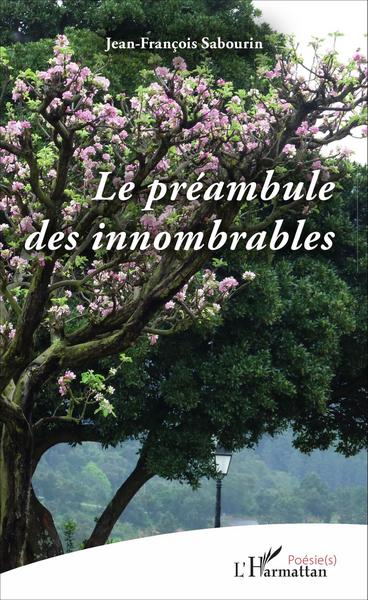Préambule des innomables (9782343102481-front-cover)