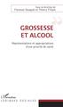 Grossesse et alcool, Représentations et appropriations d'une priorité de santé (9782343132877-front-cover)