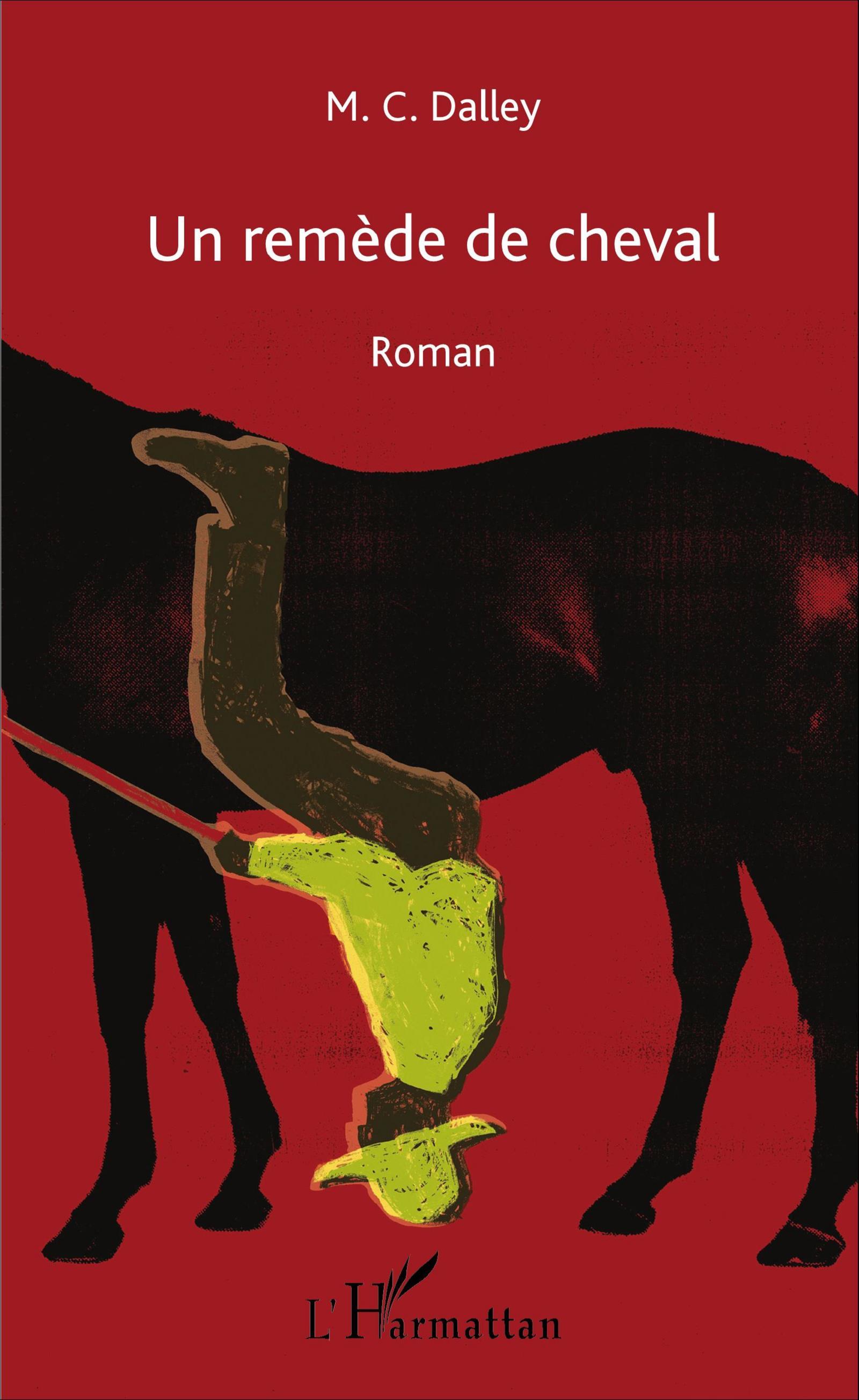 Un remède de cheval (9782343103525-front-cover)