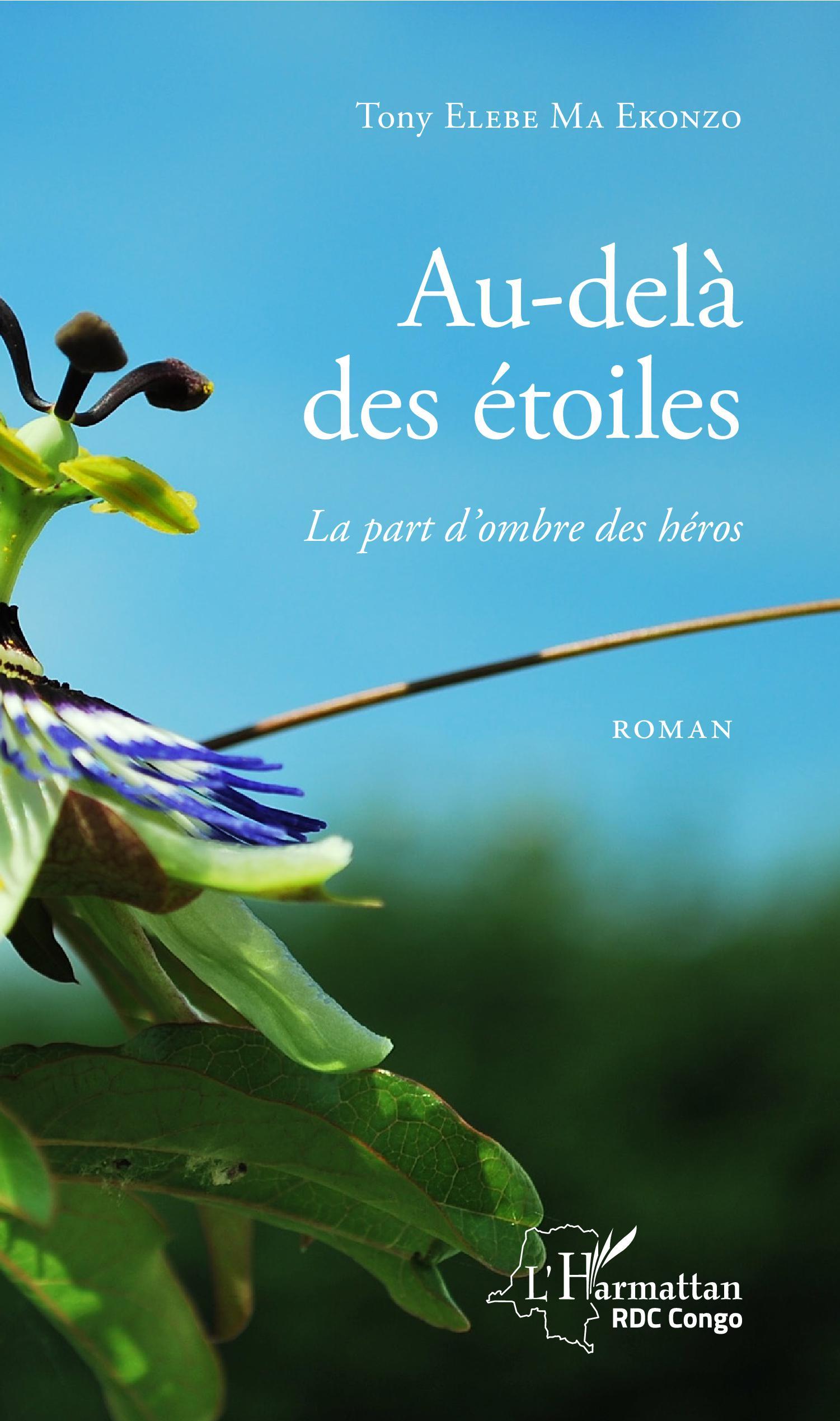 Au-delà des étoiles. La part d'ombre des héros, Roman (9782343143231-front-cover)