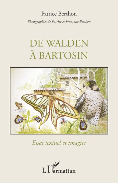 De Walden à Bartosin, Essai textuel et imagier (9782343179261-front-cover)