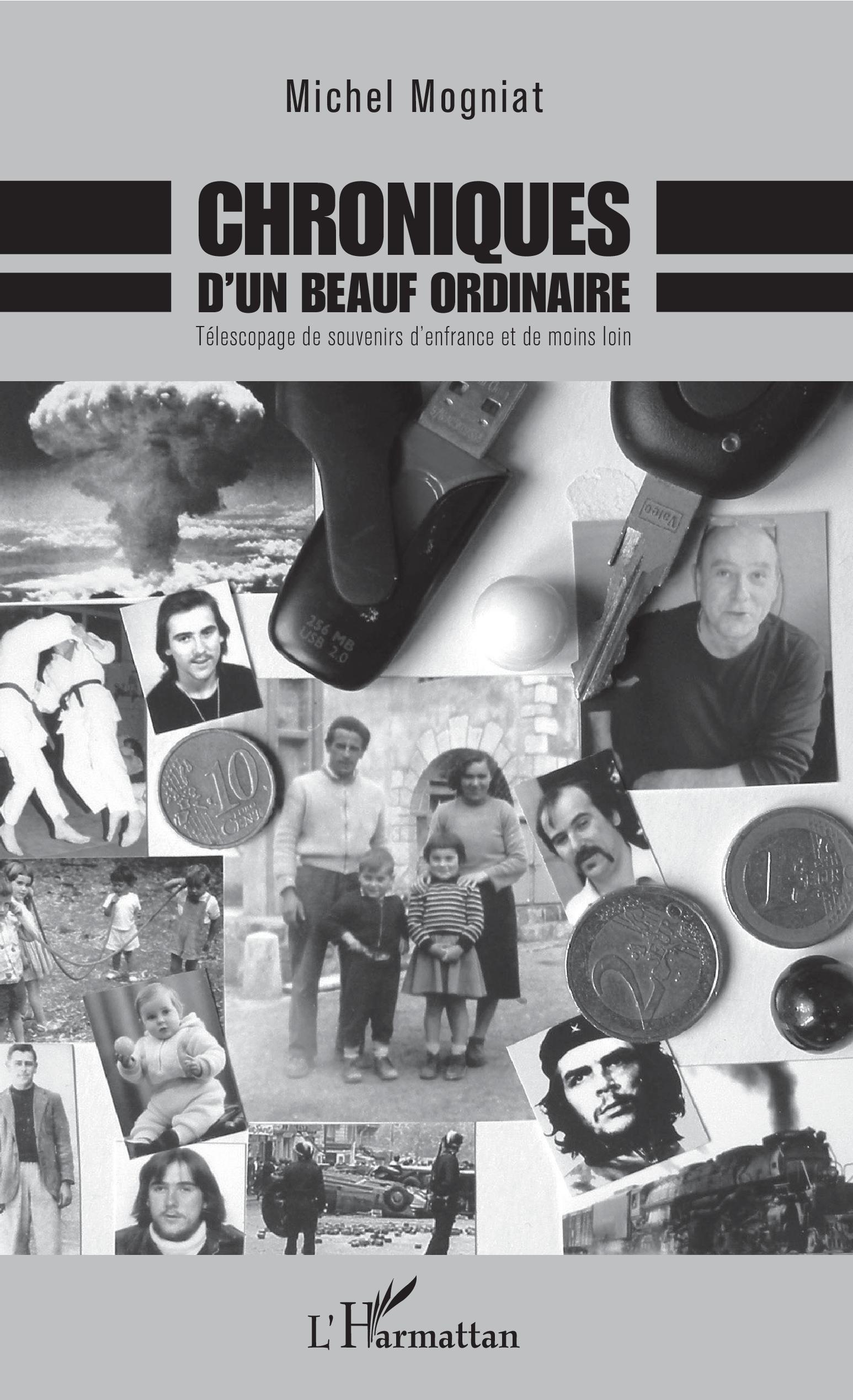 Chroniques d'un beauf ordinaire, Télescopage de souvenirs d'enfrance et de moins loin (9782343143774-front-cover)