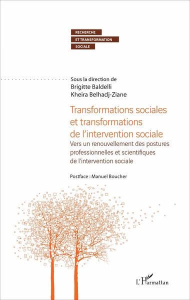 Transformations sociales et transformations de l'intervention sociale, Vers un renouvellement des postures professionnelles et s (9782343104478-front-cover)