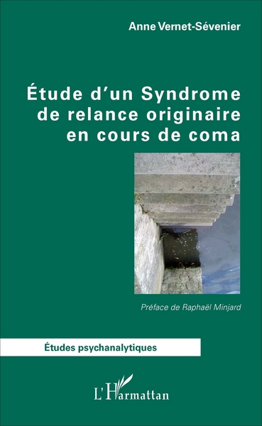 Étude d'un Syndrome de relance originaire en cours de coma (9782343107950-front-cover)
