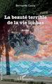 La beauté terrible de la vie ici-bas, Roman (9782343133430-front-cover)