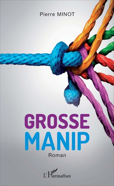 Grosse manip, Roman (9782343102108-front-cover)