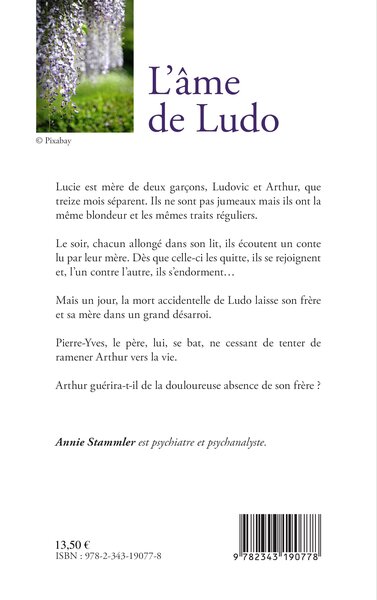 L'âme de Ludo, Roman (9782343190778-back-cover)