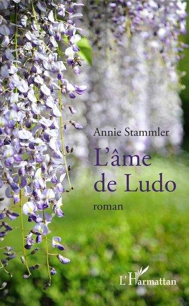 L'âme de Ludo, Roman (9782343190778-front-cover)