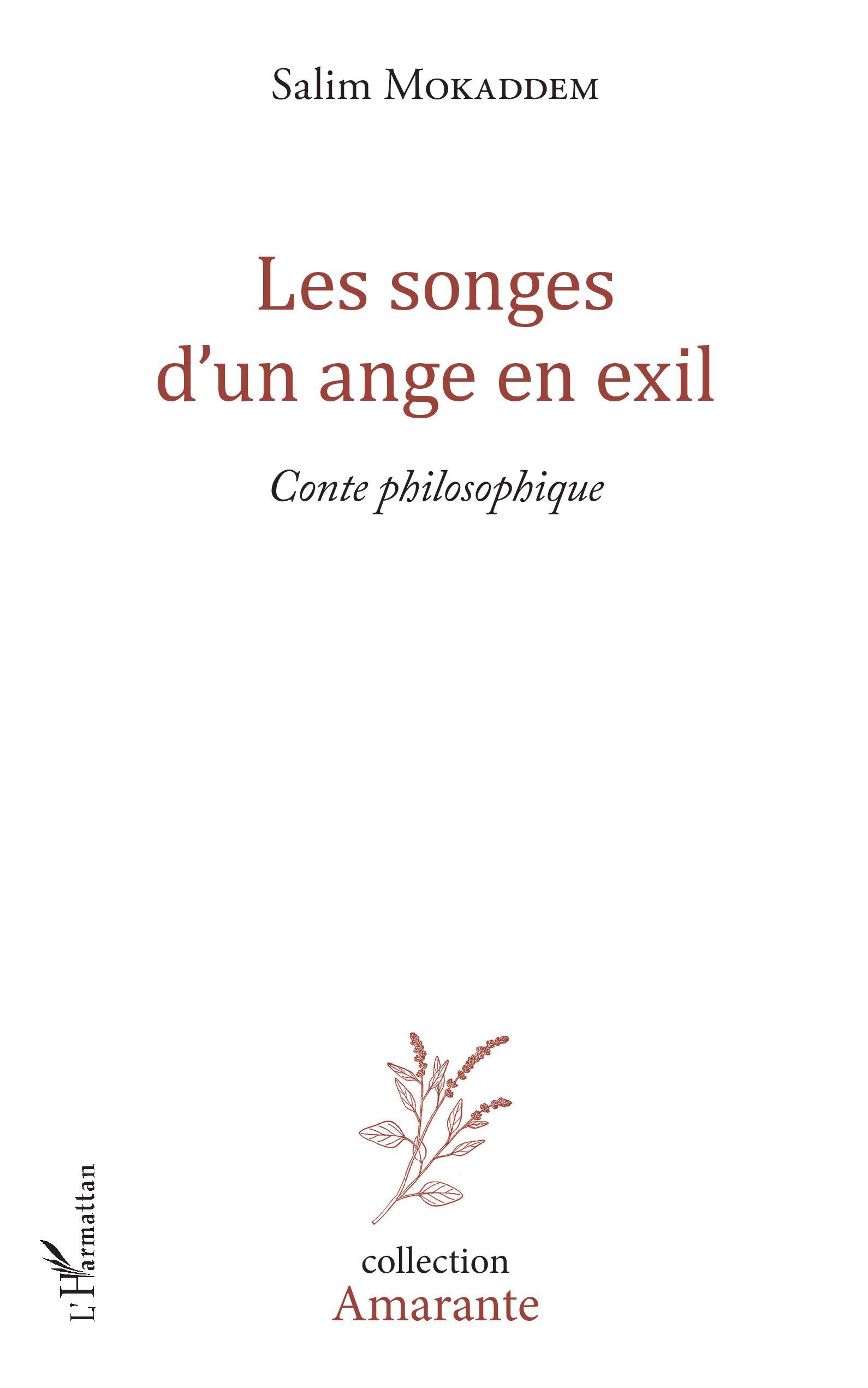 Les songes d'un ange en exil, Conte philosophique (9782343149141-front-cover)