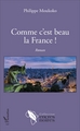 Comme c'est beau la France !, Roman (9782343107431-front-cover)