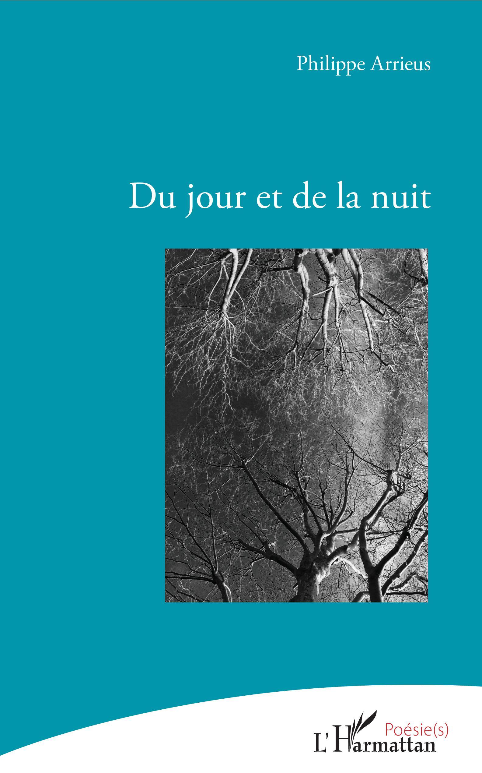 Du jour et de la nuit (9782343144702-front-cover)