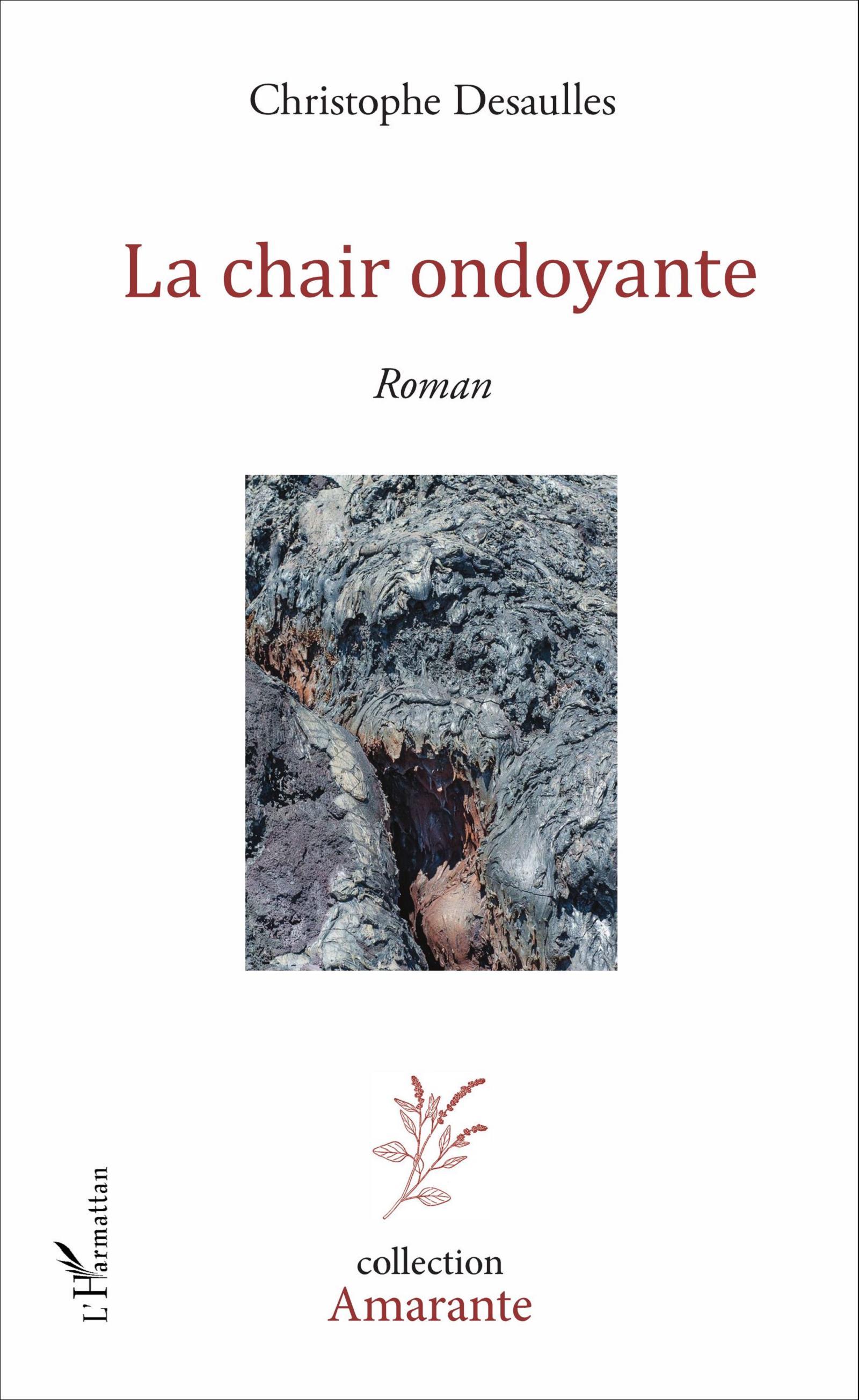 La chair ondoyante, Roman (9782343104287-front-cover)