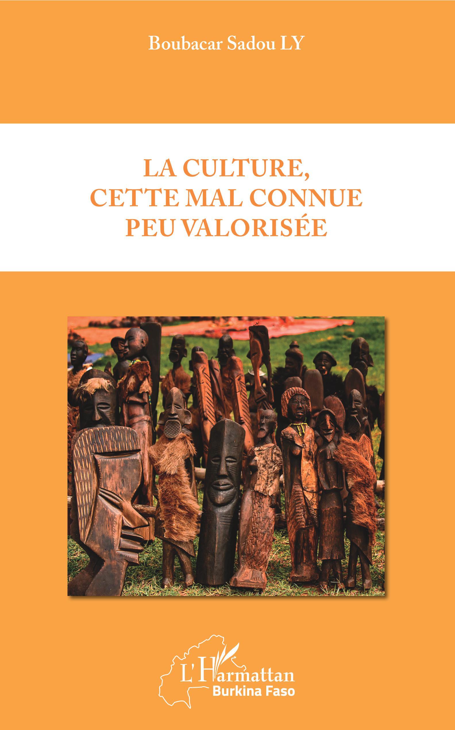 La culture, cette mal connue peu valorisée (9782343181141-front-cover)