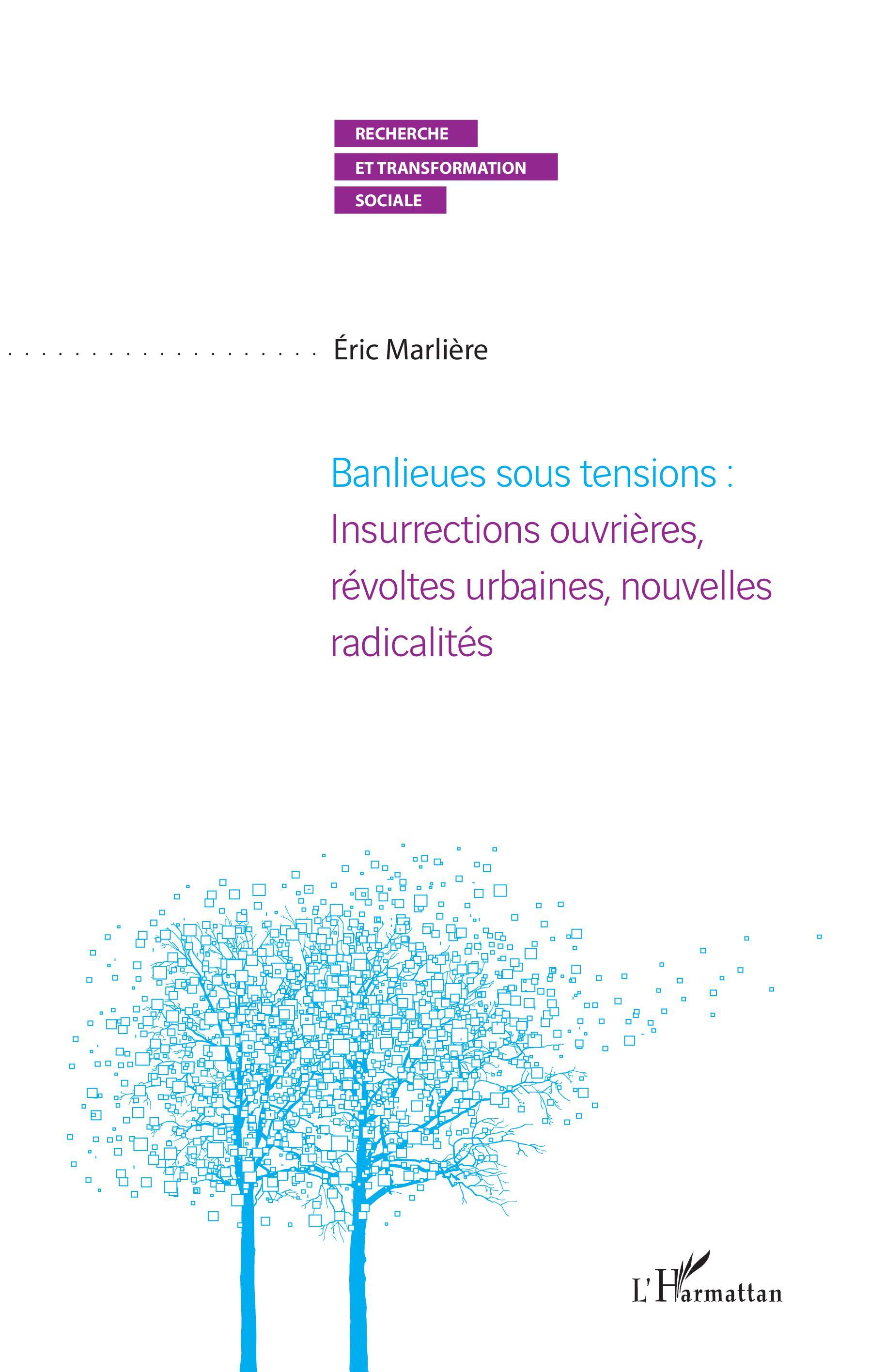 Banlieues sous tensions : Insurrections ouvrières, révoltes urbaines, nouvelles radicalités (9782343178554-front-cover)