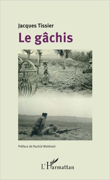 Le gâchis (9782343111933-front-cover)
