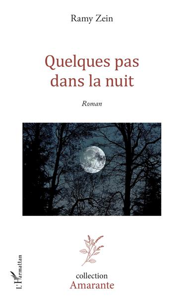 Quelques pas dans la nuit (9782343179711-front-cover)