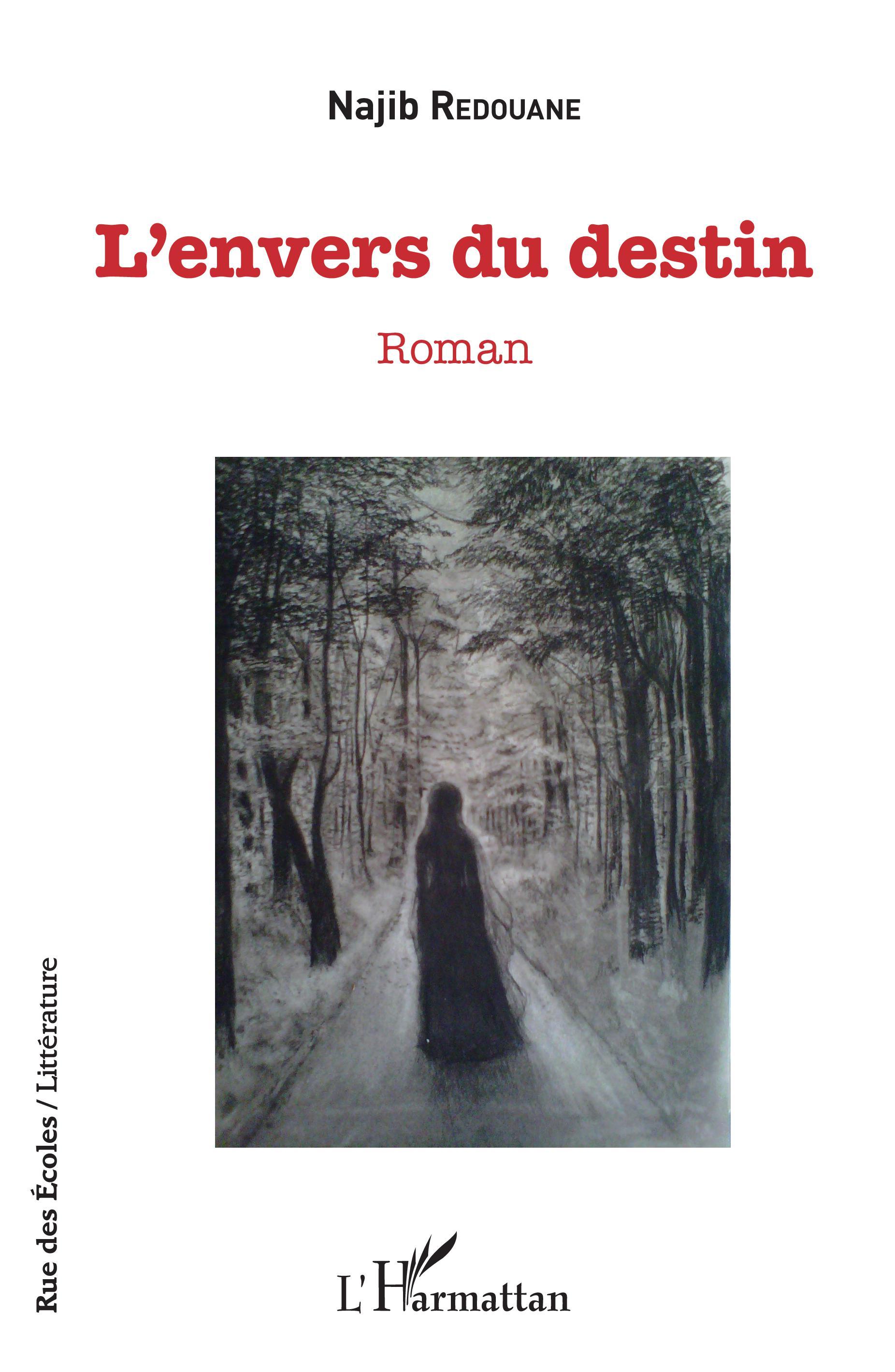 L'envers du destin, Roman (9782343182803-front-cover)