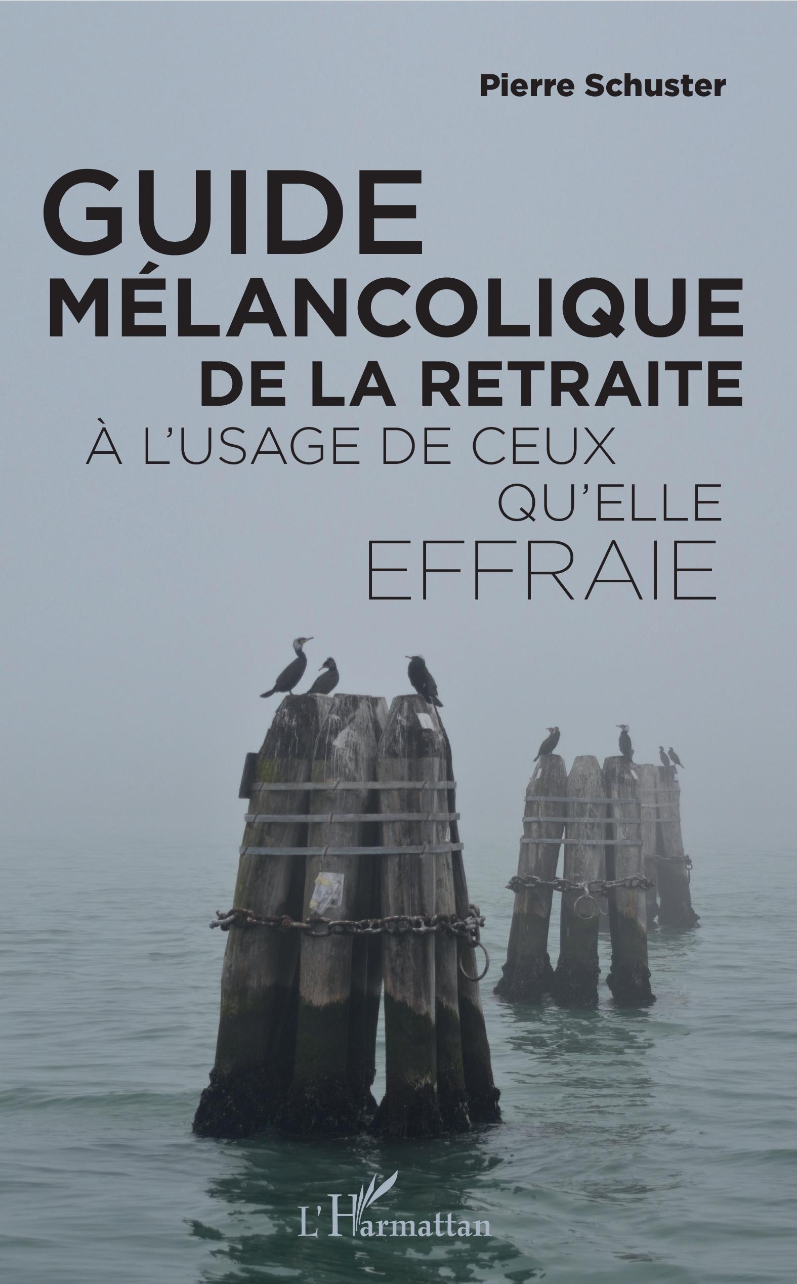 Guide mélancolique de la retraite, À l'usage de ceux qu'elle effraie (9782343152196-front-cover)