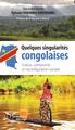 Quelques singularités congolaises, Enjeux, compromis et reconfiguration sociale (9782343177441-front-cover)