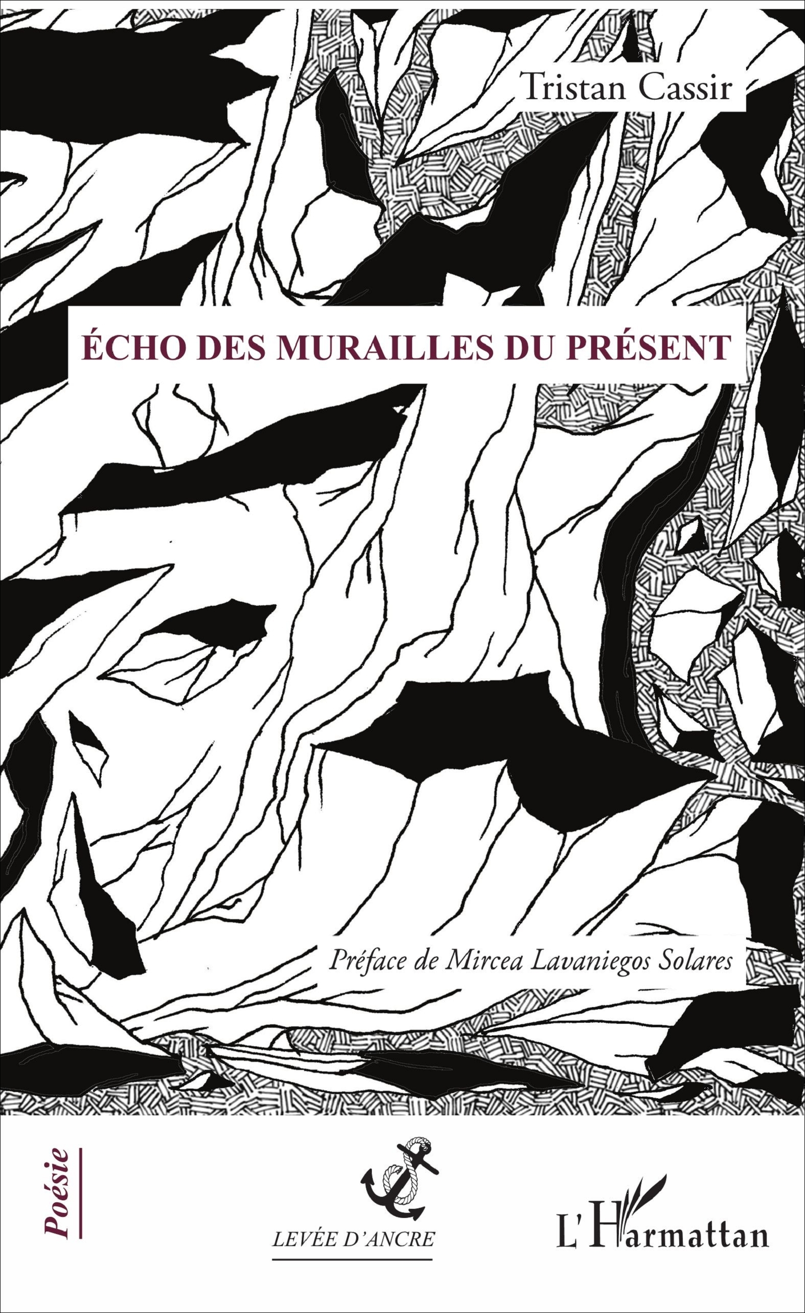 Écho des murailles du présent (9782343127682-front-cover)