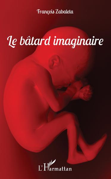Le bâtard imaginaire (9782343164021-front-cover)