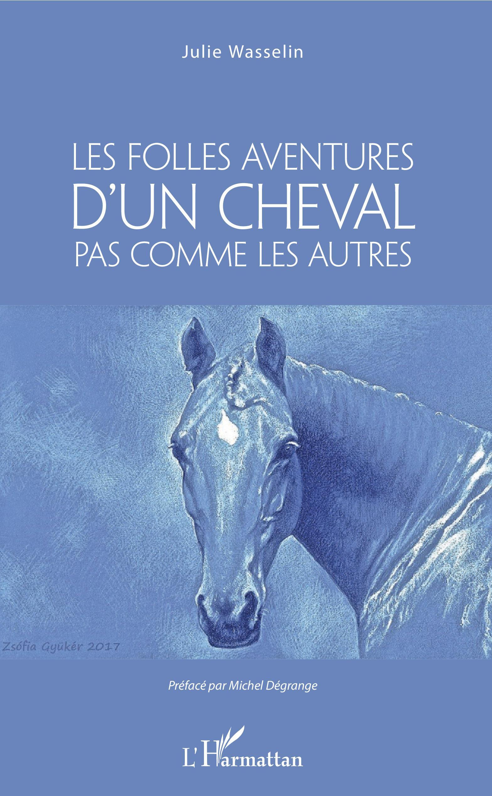 Les Folles aventures d'un cheval pas comme les autres (9782343179834-front-cover)