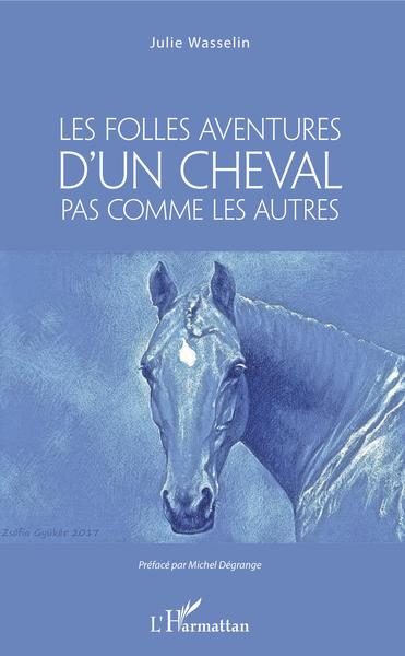 Les Folles aventures d'un cheval pas comme les autres (9782343179834-front-cover)