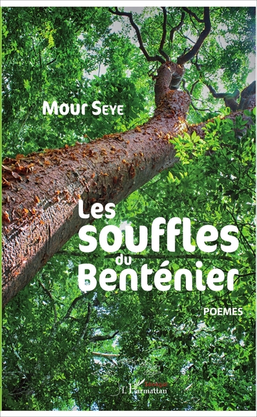 Les souffles du Benténier (9782343123042-front-cover)
