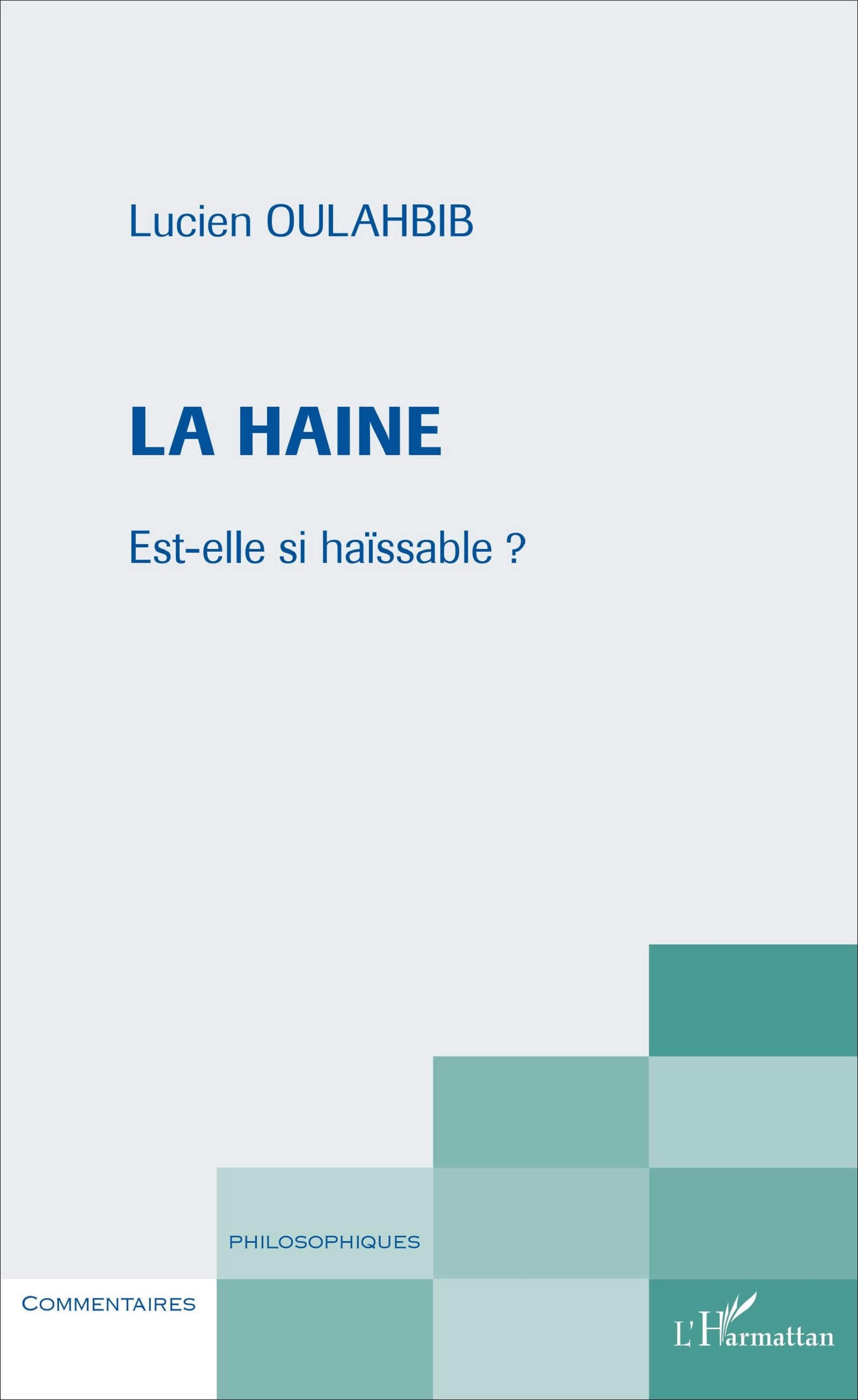 La haine, Est-elle si haïssable ? (9782343116686-front-cover)