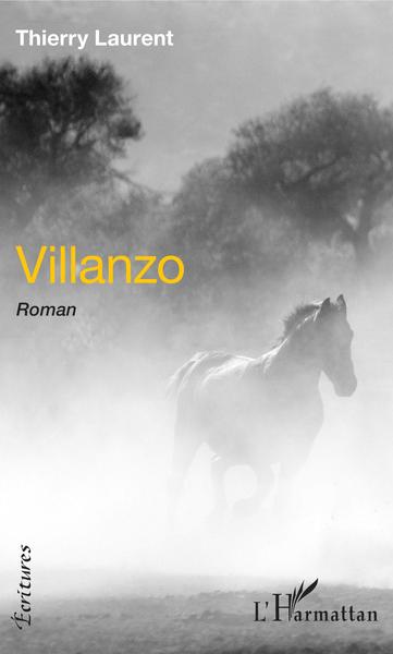 Villanzo, Roman (9782343196855-front-cover)