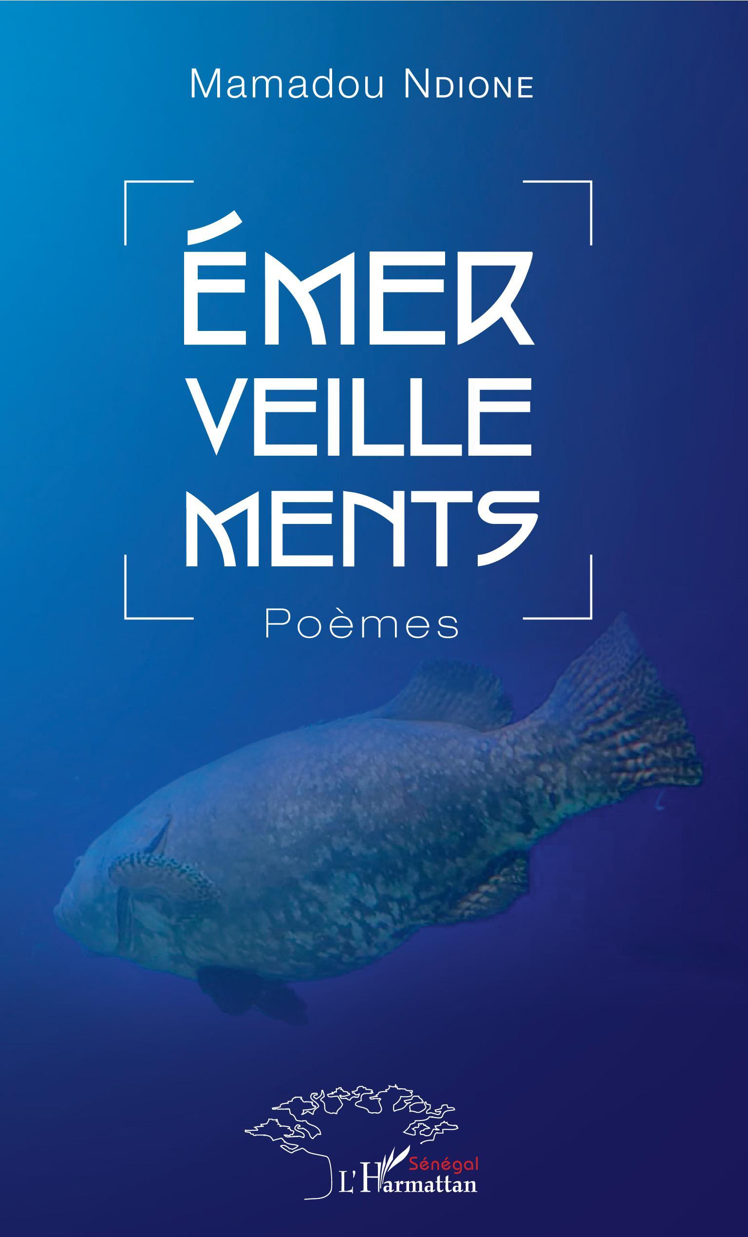 Emerveillements, Poèmes (9782343172774-front-cover)