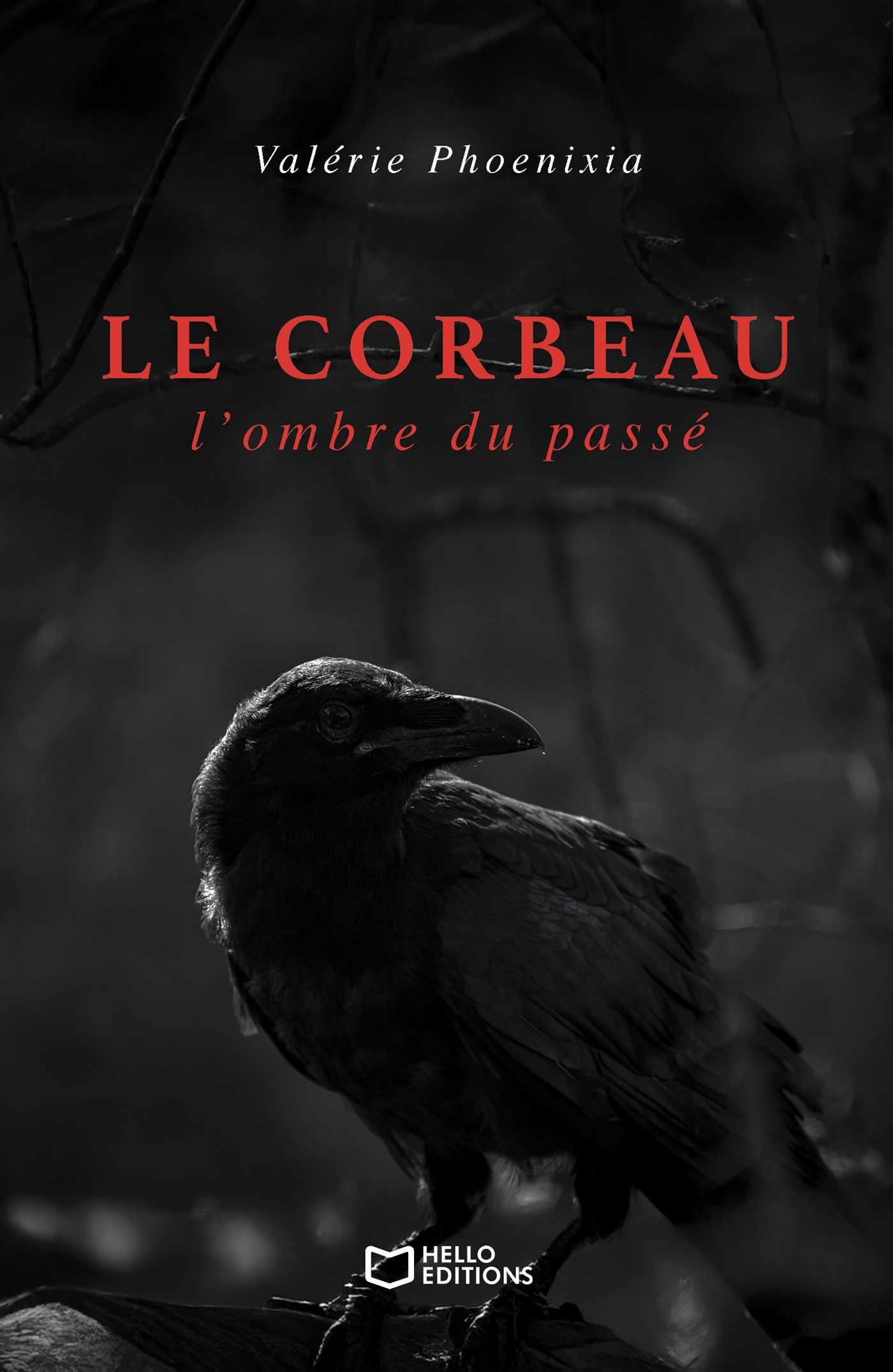 Le corbeau : l'ombre du passé (9782386273421-front-cover)