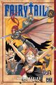 Fairy Tail T08 (9782811601065-front-cover)