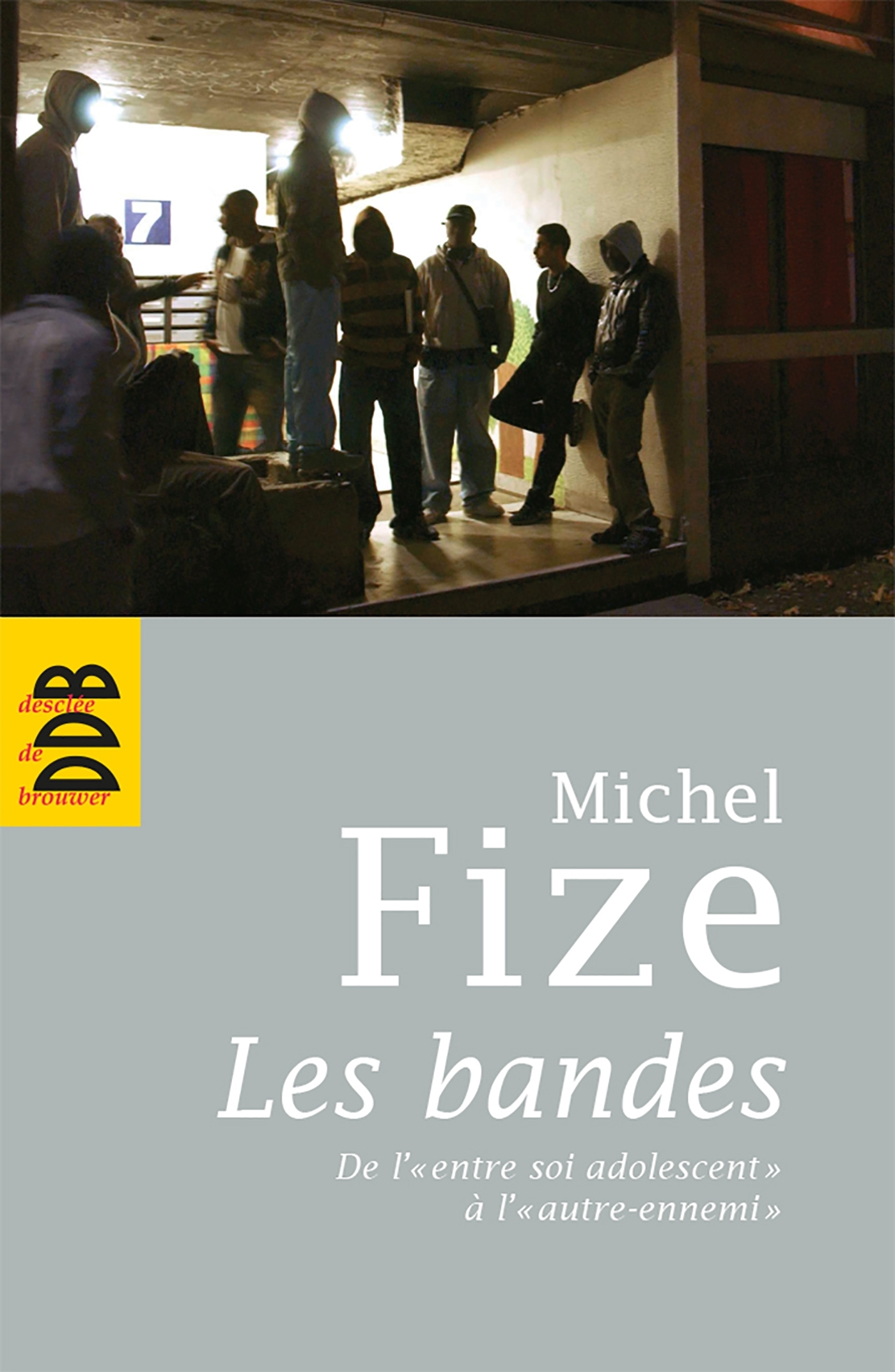 Les bandes, De l'entre soi adolescent à l'autre ennemi (9782220059853-front-cover)