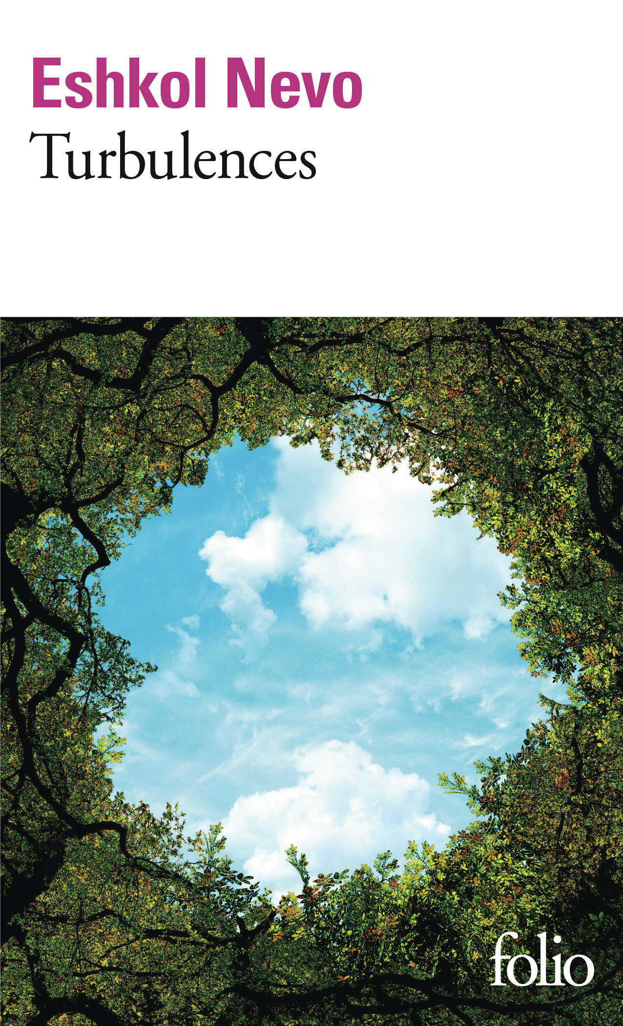 Turbulences (9782073086471-front-cover)